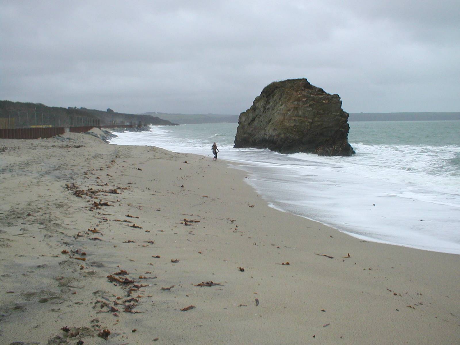 Crinnis 2006